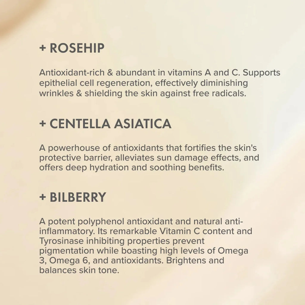 Rose Rejuvenating Face Cream 50ml | The Organic Pharmacy