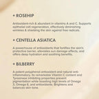 Rose Rejuvenating Face Cream 50ml | The Organic Pharmacy