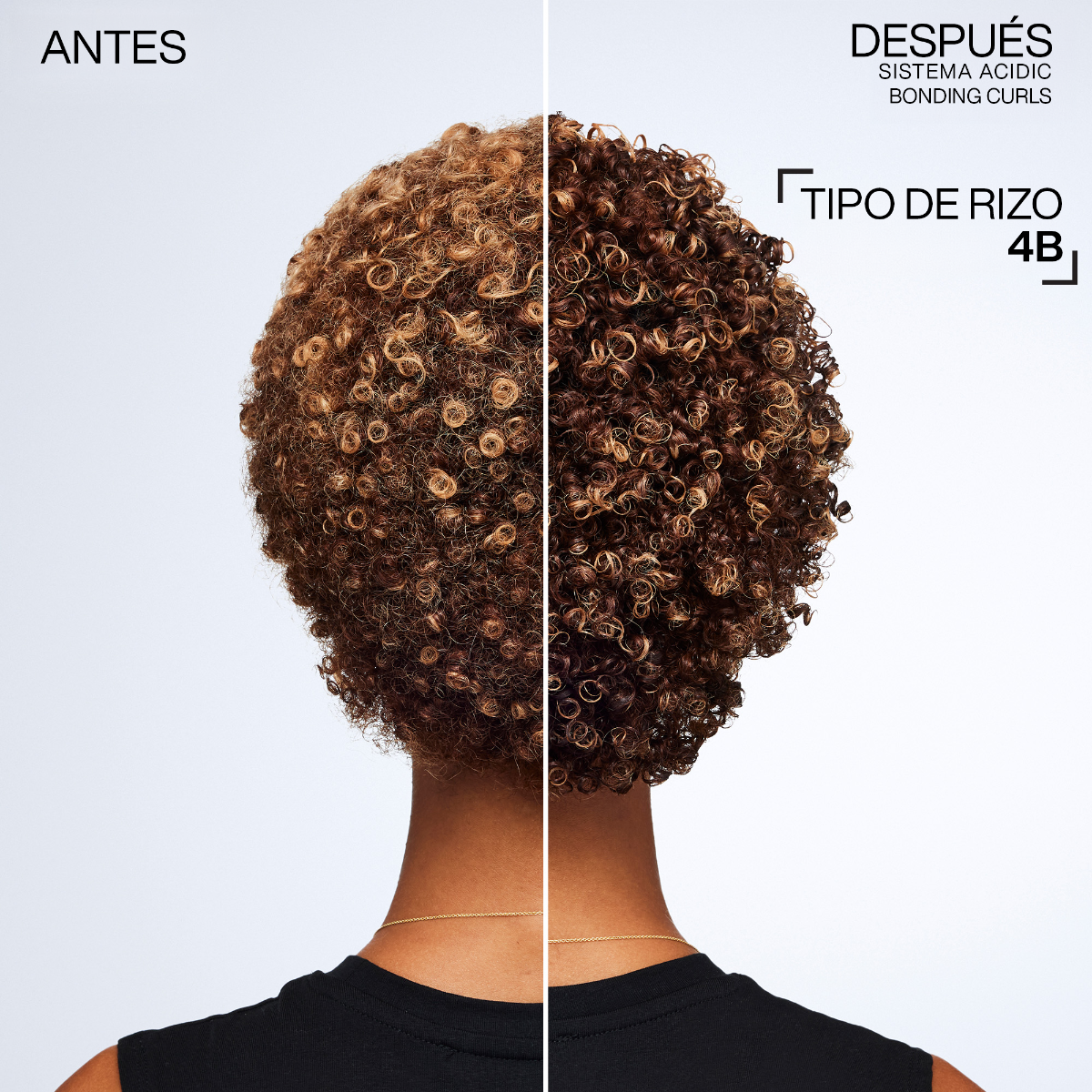 Shampoo sin siliconas para cabello con rizos y rulos procesados y dañados Acidic Bonding Curls 300ml Redken