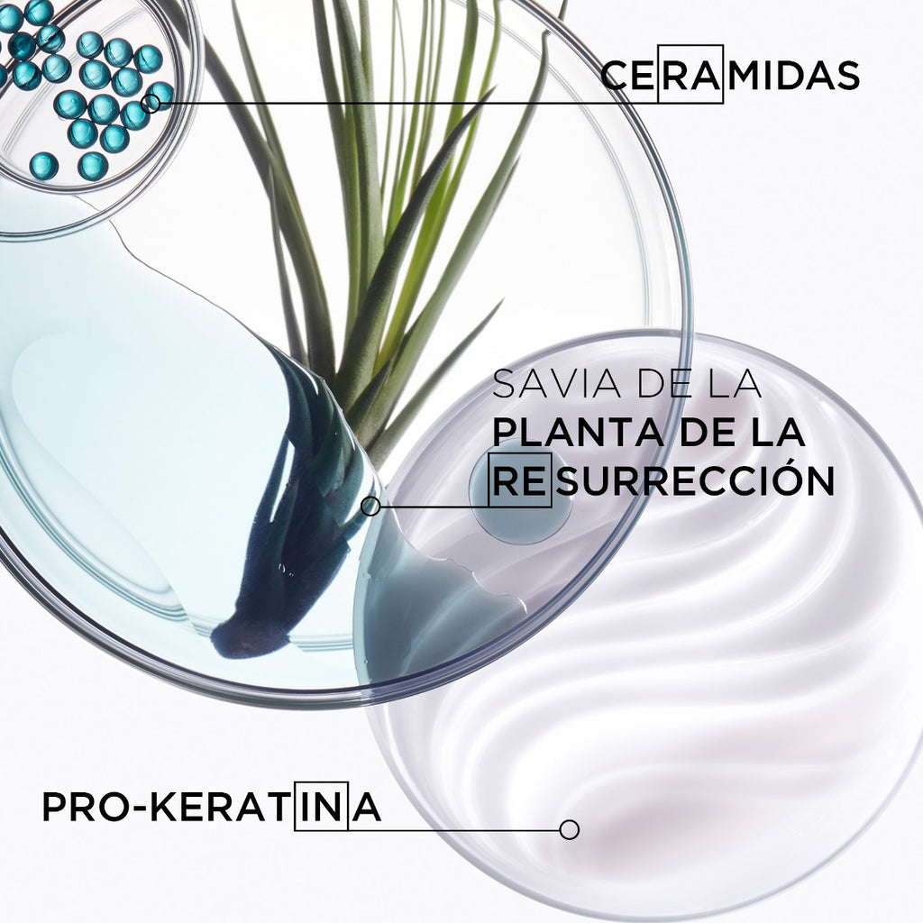 Kérastase Shampoo reconstructor para cabello débil Bain Force Architecte Resistance 250ml