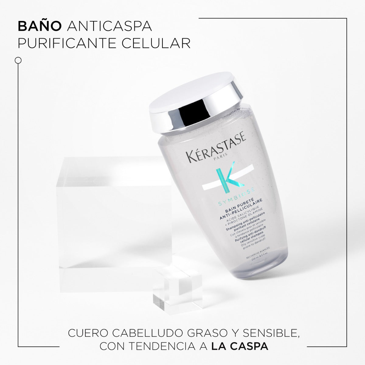 Kérastase Shampoo para cuero cabelludo graso sensible propenso a la caspa Purete anti-pelliculaire symbiose 250ml