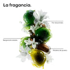 Loreal Profesionnel Metal detox mini duo kit