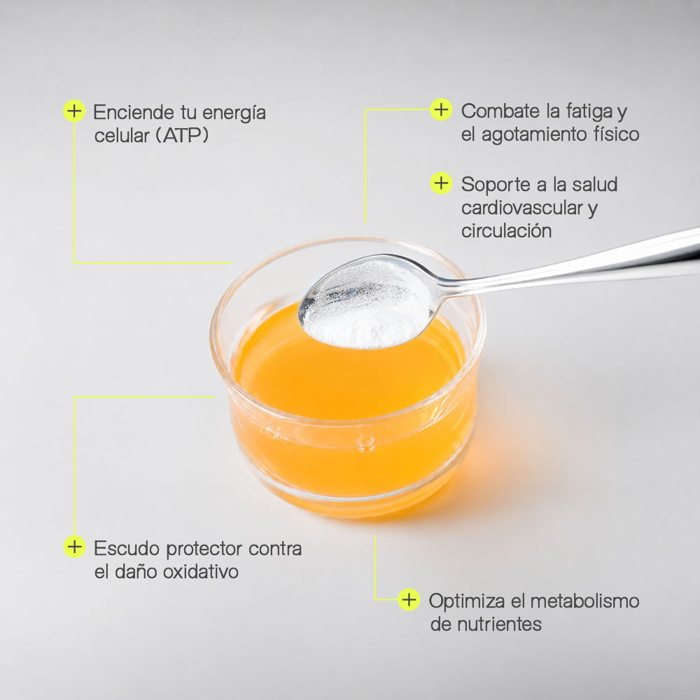 L-Carnitine + L-Arginine + Coq10 + Vitamins + Minerals | Wellnaris