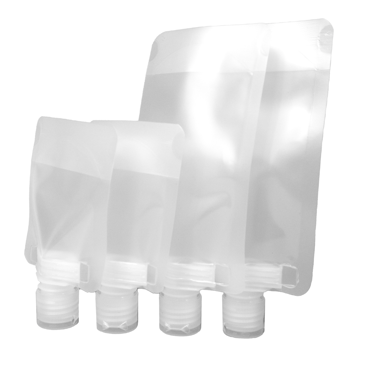 BONI: KIT TRAVEL TRANSPARENTE DTS (29)