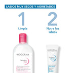 Bioderma Atoderm Levres Baume 15ml. / Bálsamo Labial