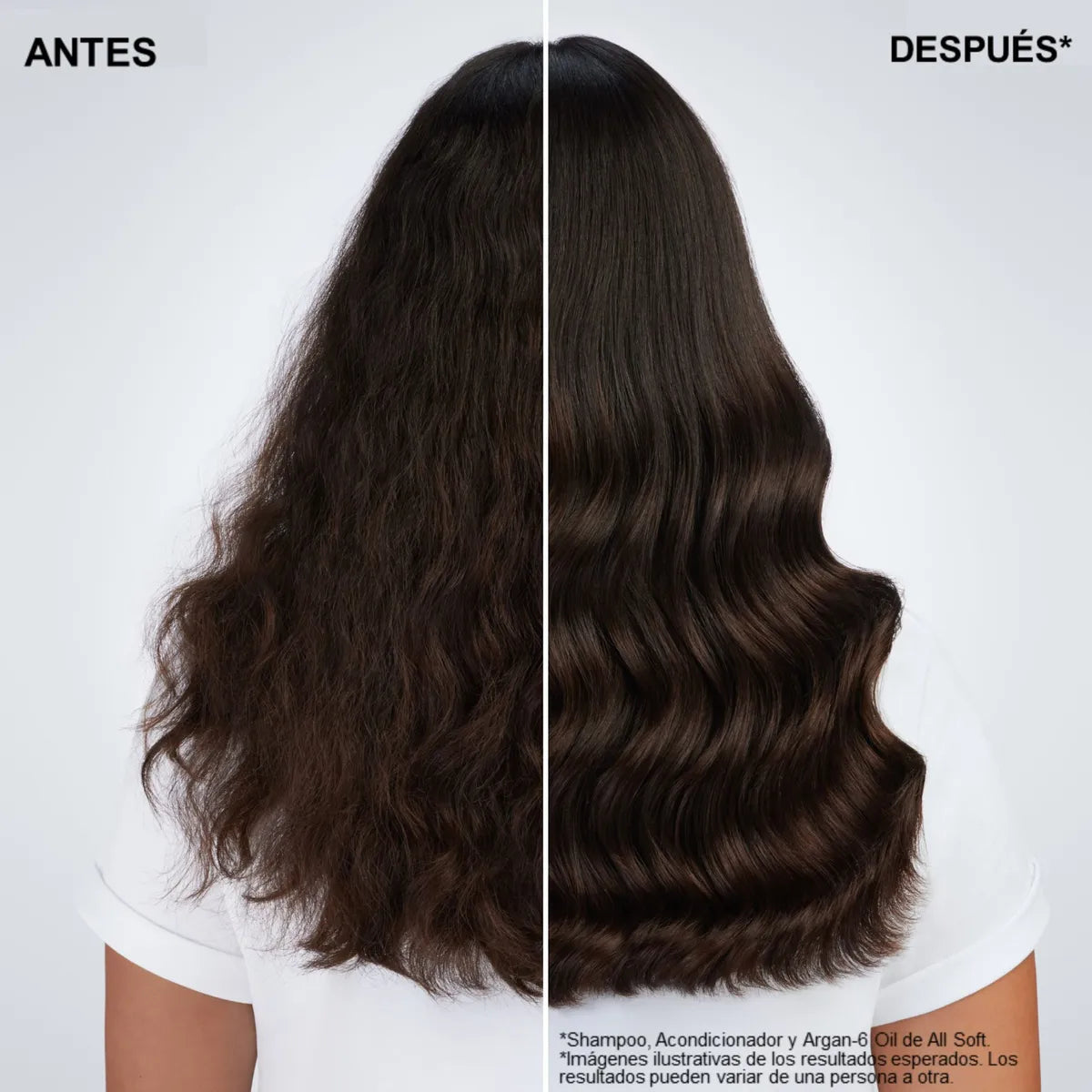 Aceite Argan-6 All Soft para cabello seco | Redken