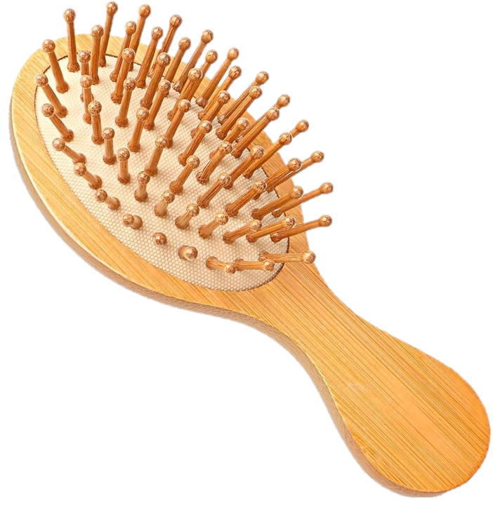 BONI: TRAVEL BRUSH DT